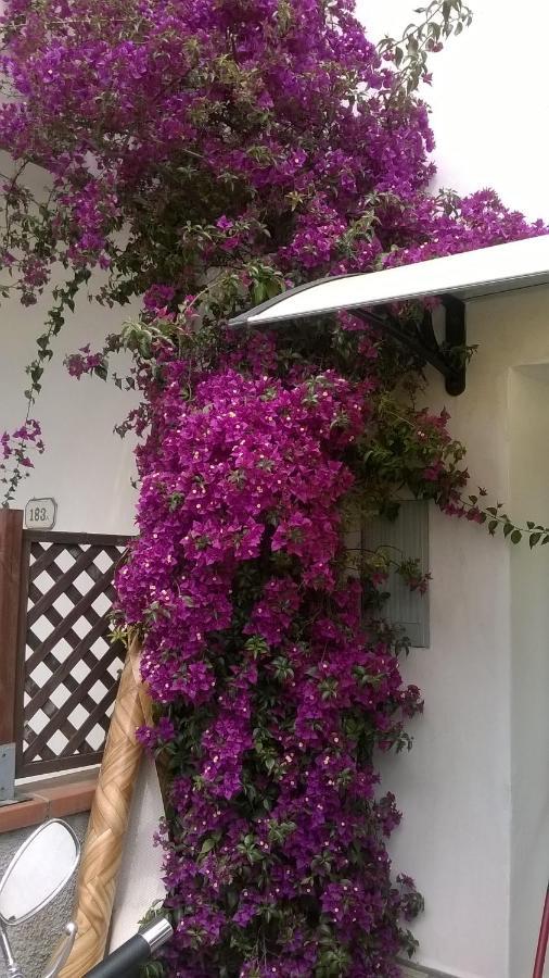 비아레지오 Rainbow House With Garden 빌라 외부 사진